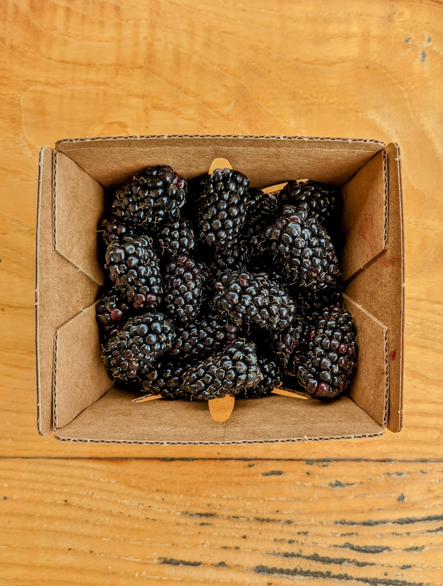 Blackberries Half Pint