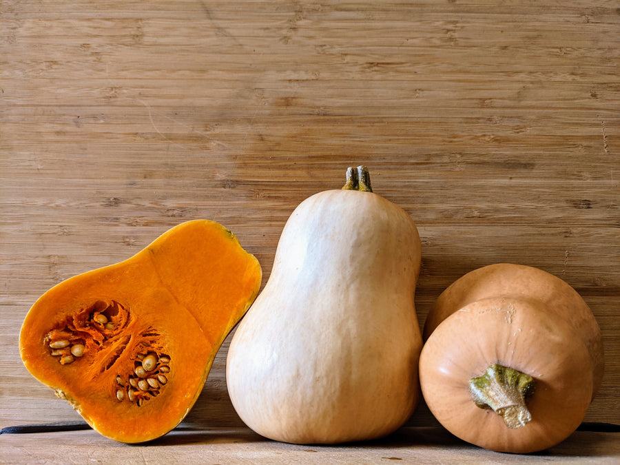 Butterbaby Squash (Each)