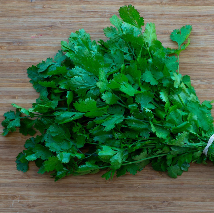 Cilantro (Bunch)
