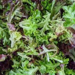 Spring Mix (Lettuce, Half Pound)