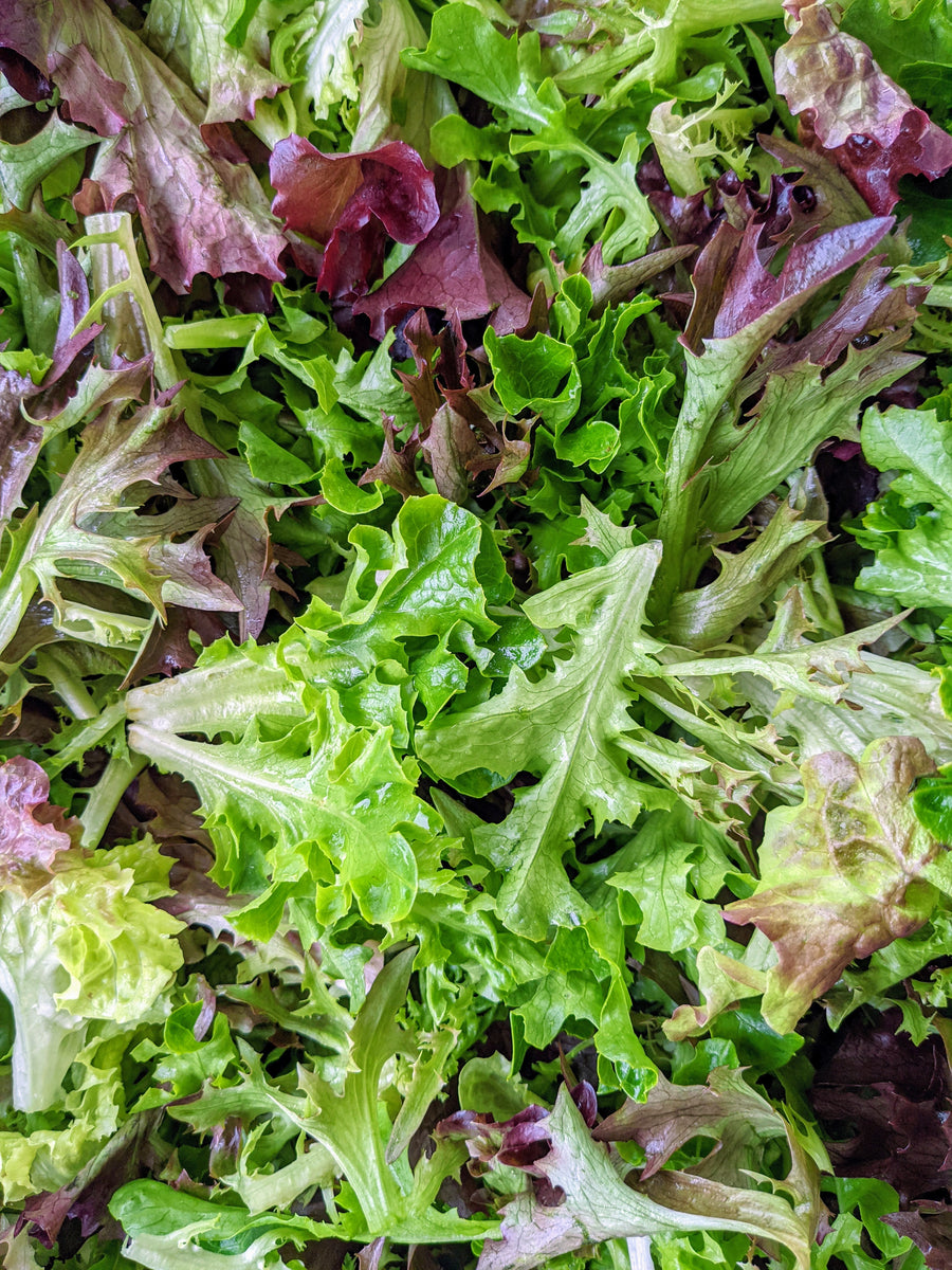 Lettuce Mix (0.5 lb)