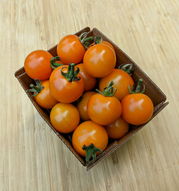 Sungold Cherry Tomatoes (Pint)