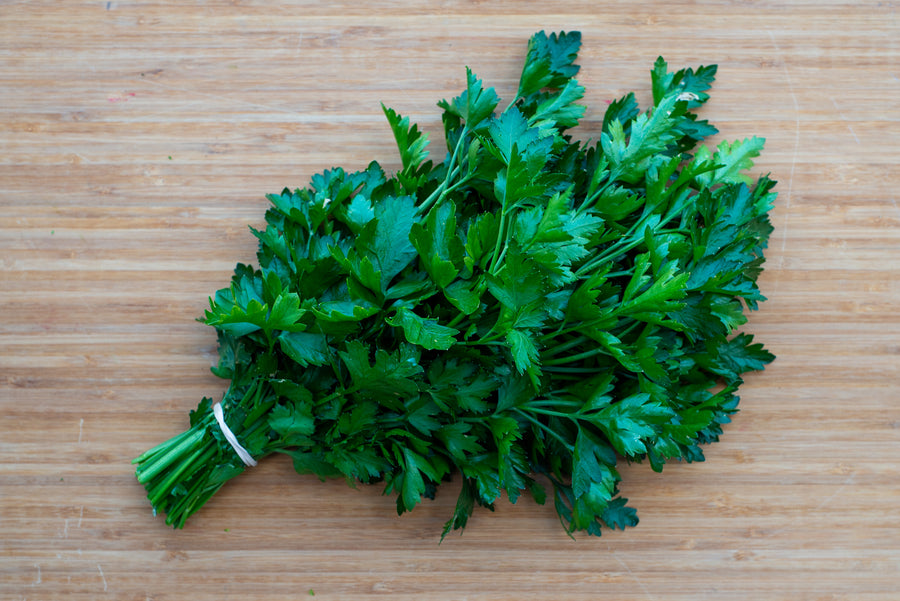 Italian Flat Leaf Parsley (Bunch)