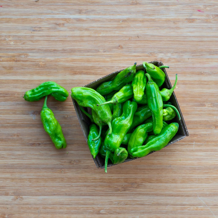 Shishito Peppers (Basket)